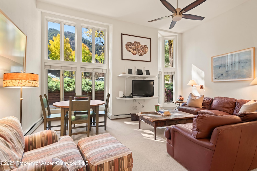 900 E Durant Ave unit C109, Aspen, CO 81611 - photo 1