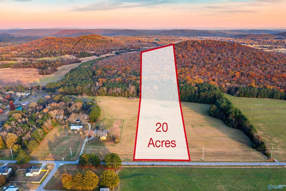 20 Six Mile Rd, Somerville, AL 35670 - photo 1