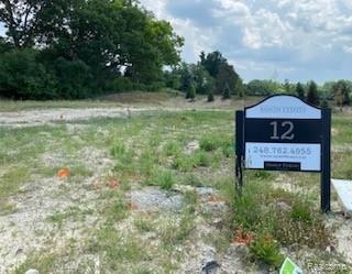 3338 Baron Dr, Bloomfield Township, MI 48302 - photo 1