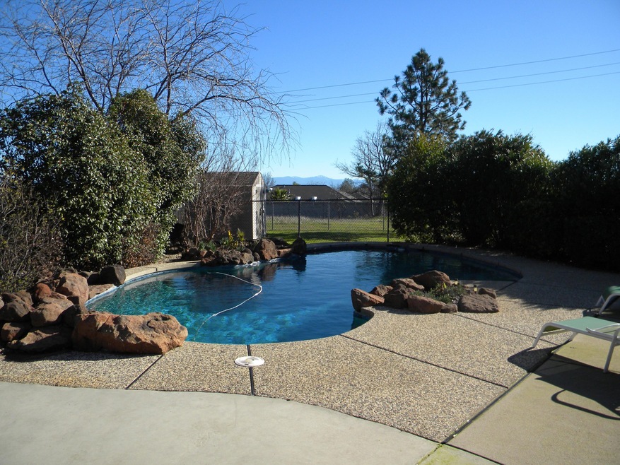 Badger-Pool1