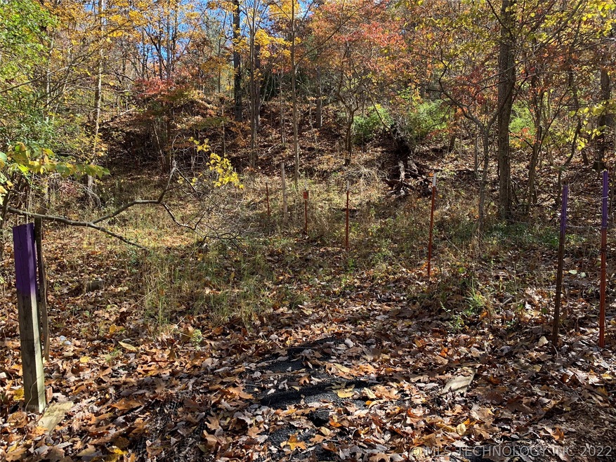 Purple topped poles indicate the 30' easement from