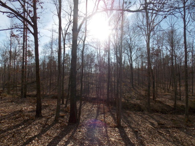 59 White Rock Rd, Lincolnton, GA 30817 - photo 1