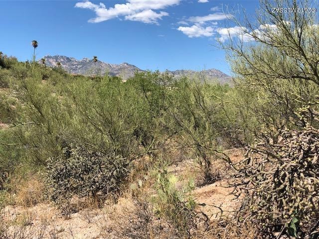 Catalina Mtns to north