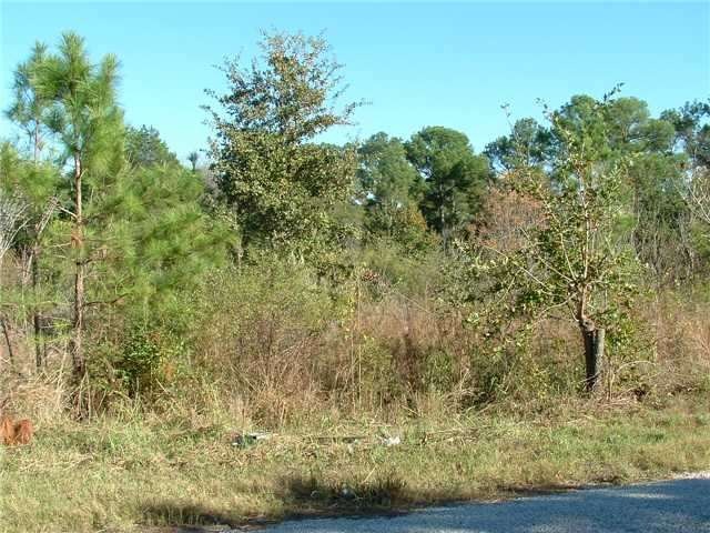 Land/Lot : View of front of lot. Lots of underbrus