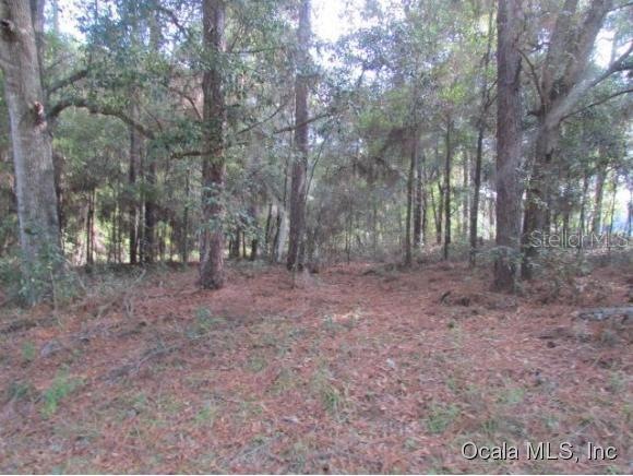 00 SW 200th Cir, Dunnellon, FL 34431 - photo 1