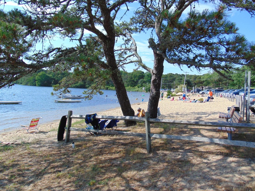 Great Pond 038