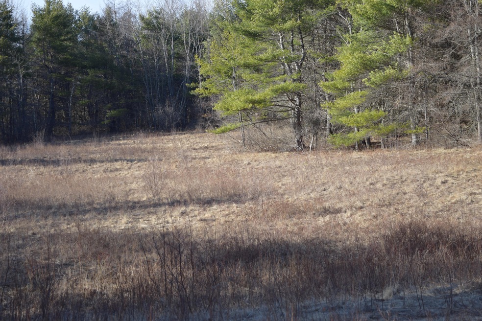 DSC_0408
