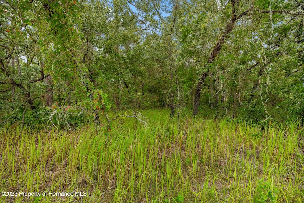 0000 Maybird Ave, Weeki Wachee, FL 34613 - photo 1