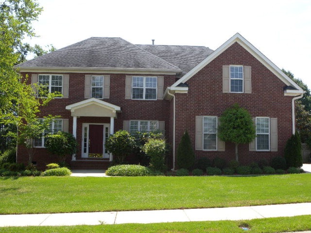 Main View