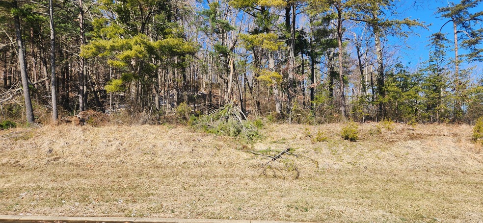 Sold $33,000 • Co-Listing Agent