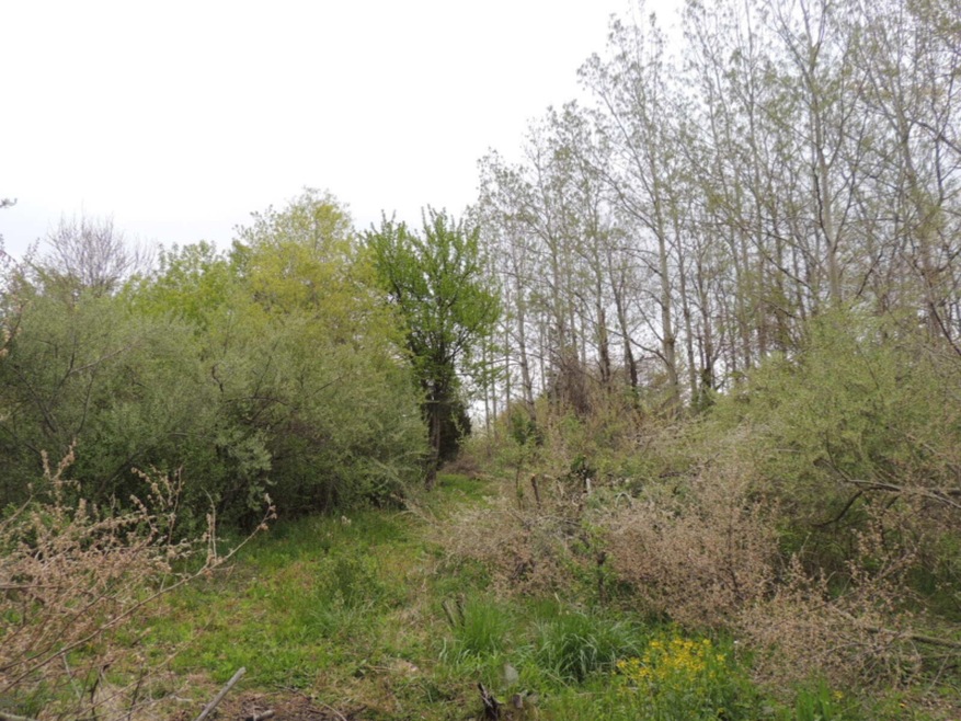 0 68th St, South Haven, MI 49090 - photo 1