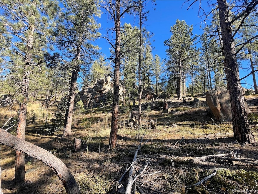 0 Shadow Mountain Dr, Conifer, CO 80433 - photo 1