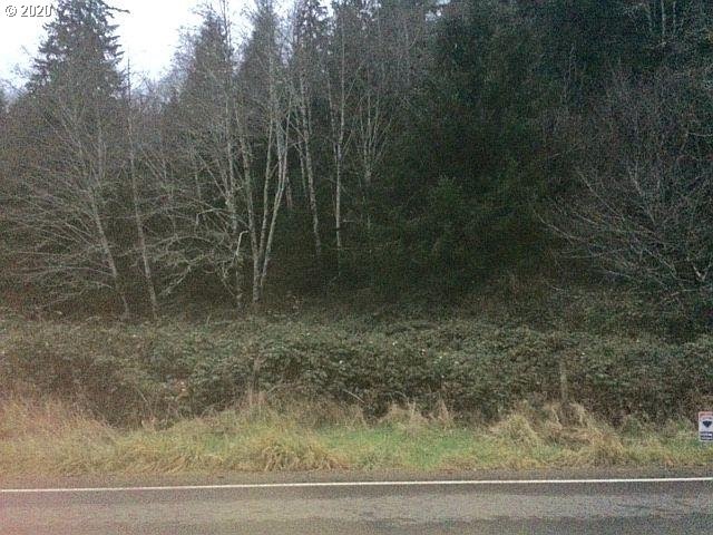 0 Miami Foley Rd unit 20181471, Nehalem, OR 97131 - photo 1