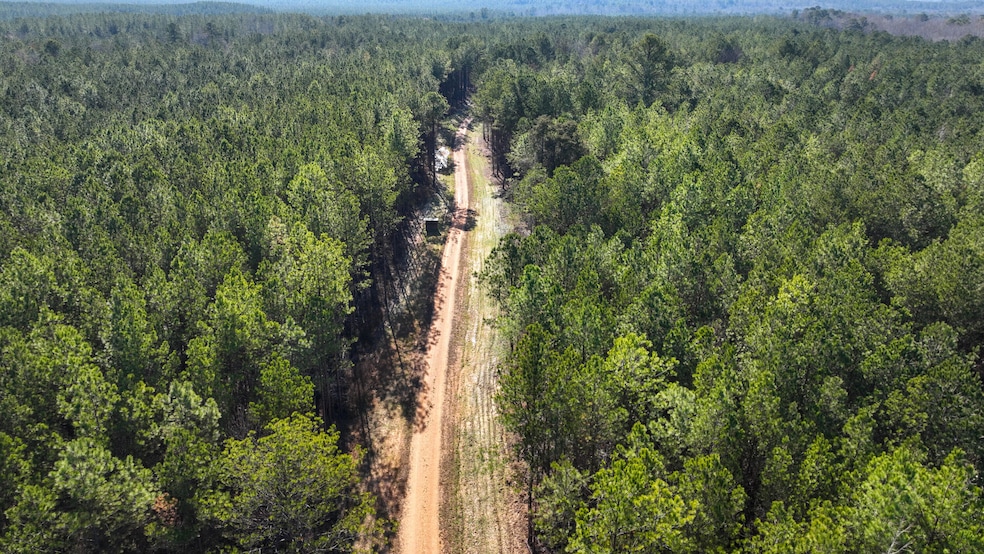 DJI_0502
