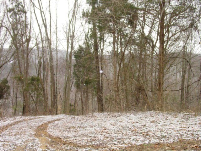 Main View