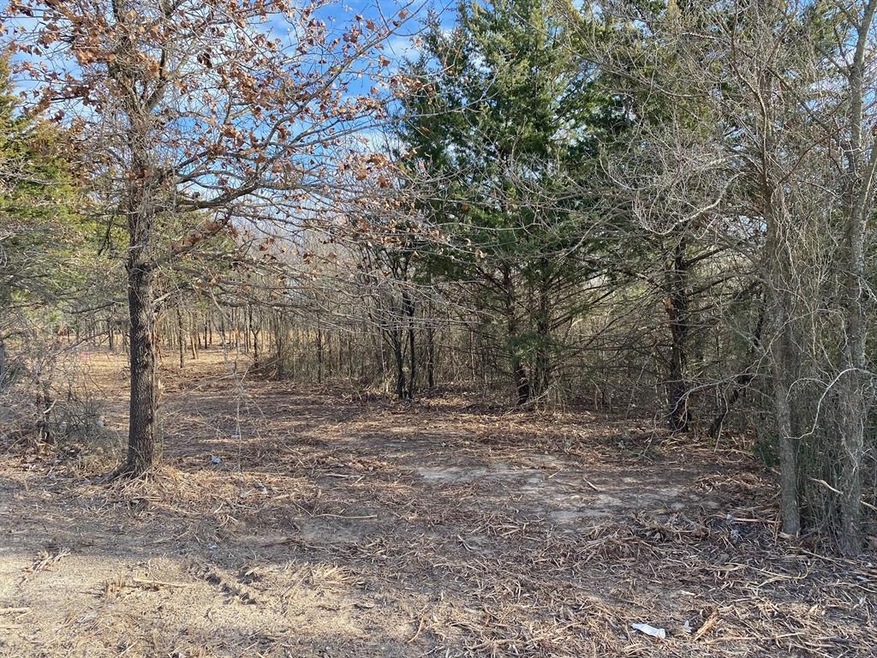 TBD Cr 118 Lot 2, Whitesboro, TX 76273 - photo 1