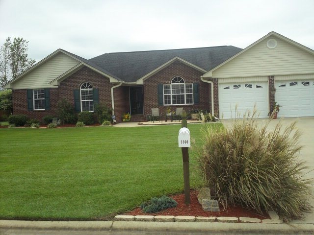 Main View