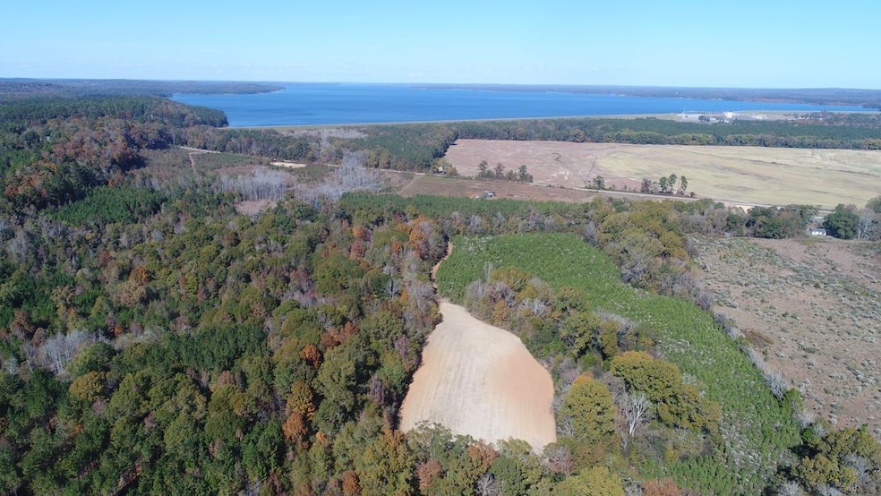 Al-10, Shorterville, AL 36373 - photo 1