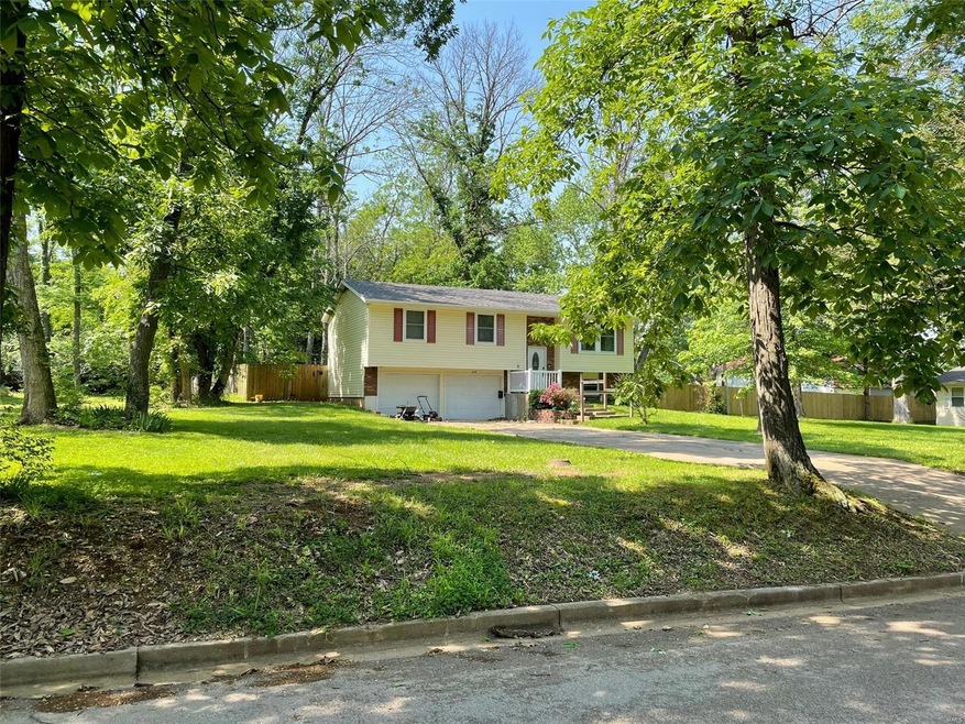 410 Aldergate St, Farmington, MO 63640 - photo 1