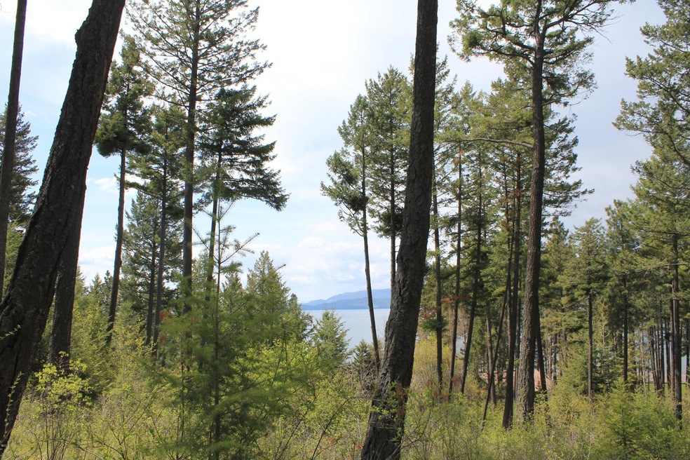 15 Romain Dr, Bigfork, MT 59911 - photo 1