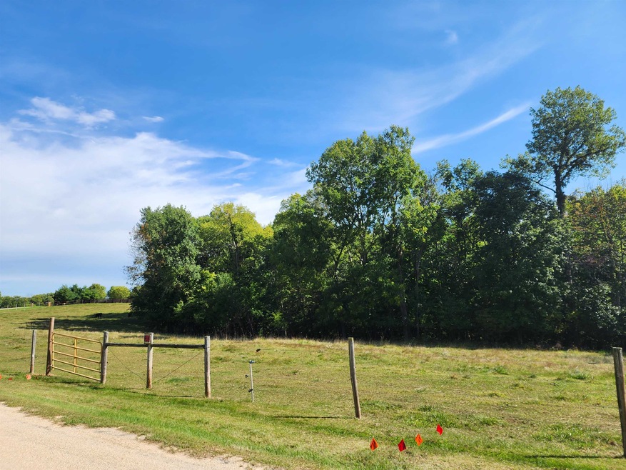 Lot 1 Shannon Rd, Potosi, WI 53820 - photo 1