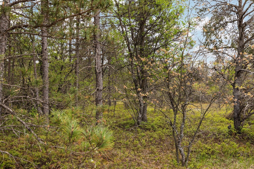 1-web-or-mls-279A1440