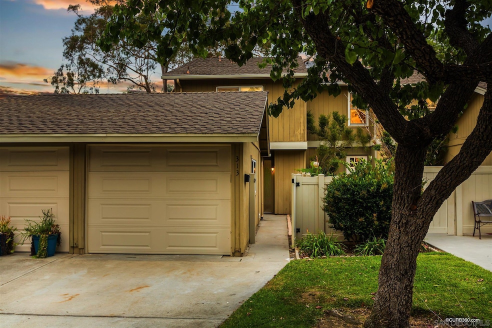 313 Countrywood Ln, Encinitas, CA 92024 - photo 1