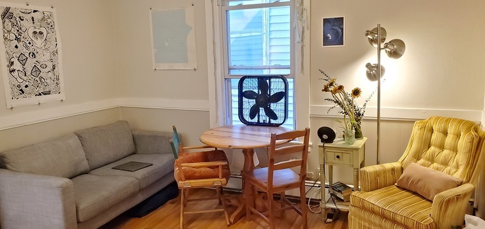 219 Green St unit 3, Cambridge, MA 02139 - photo 1