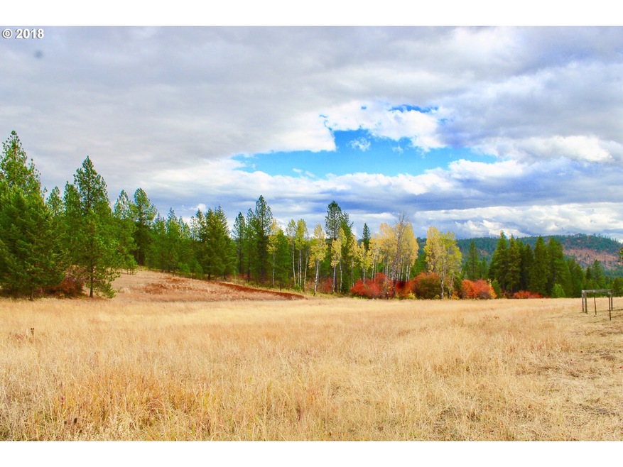 2034 Dry Creek Rd, Chewelah, WA 99109 - photo 1