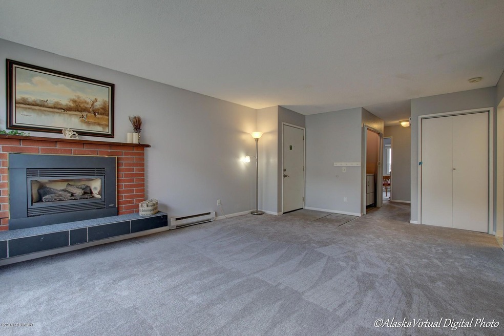 Living Room W/New Carpet