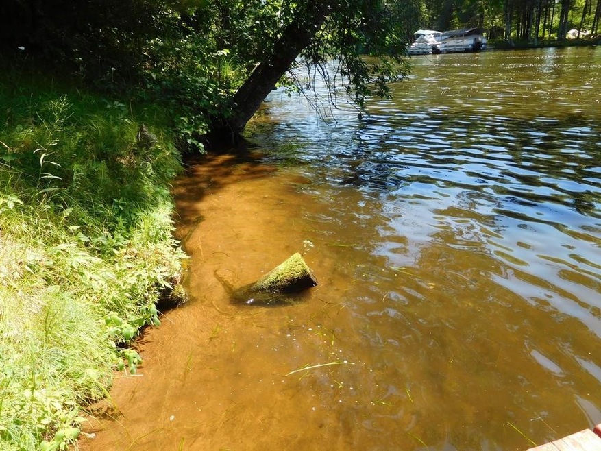 29017 E Yellow River Rd, Danbury, WI 54830 - photo 1