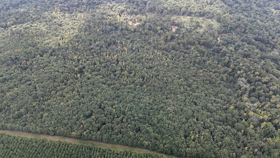 0 Parish Road 660 Lot unit WP001, Winnfield, LA 71483 - photo 1