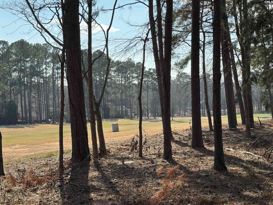 0 Misty Banks Dr unit 605235, Chapin, SC 29036 - photo 1