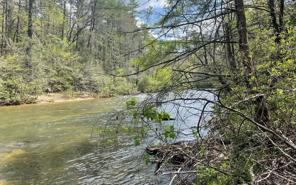 0 Rock Creek Cir unit 320900, Blue Ridge, GA 30513 - photo 1