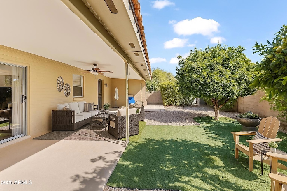 Virtually Staged Backyard
