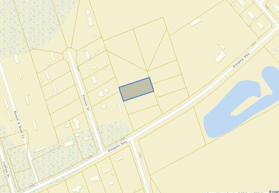 117 Emmeline Ct unit Lot 5, Conway, SC 29527 - photo 1