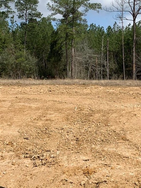 4519 Hathern Dr, Pineville, LA 71360 - photo 1