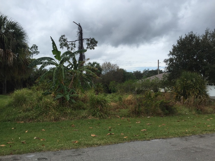 155 Filbert St, Sebastian, FL 32958 - photo 1