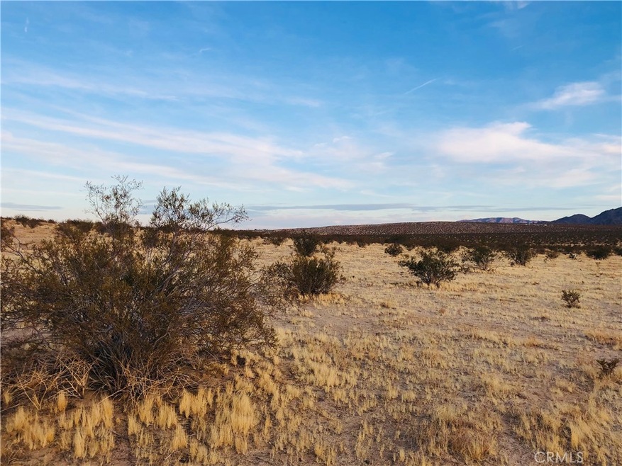 5000 Pearl Springs Ave, Twentynine Palms, CA 92277 - photo 1