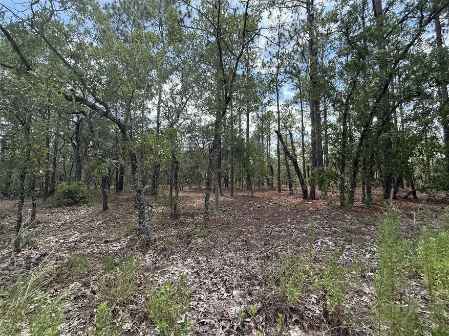0 NW Tree Top Rd unit MFROK225311, Dunnellon, FL 34431 - photo 1
