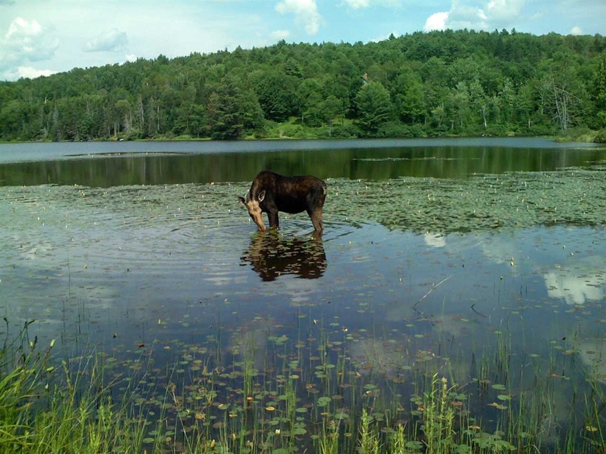 30.6 Hidden Acres Dr unit 30.6, Sugar Hill, NH 03586 - photo 1
