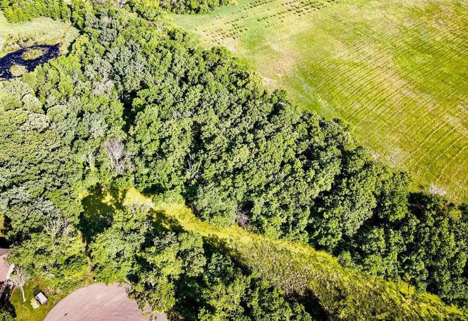 Wilderness Trail Drone