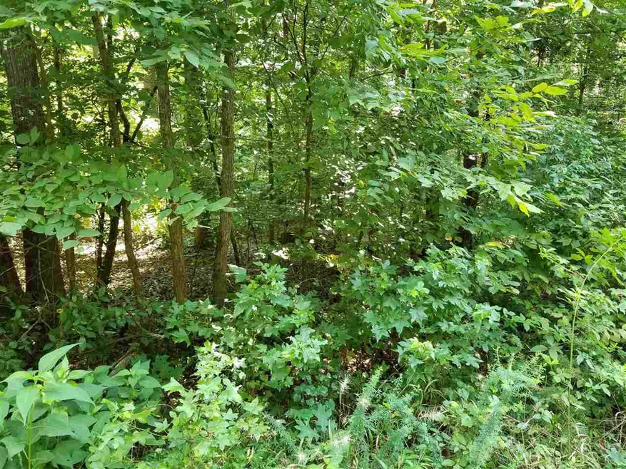 0 Moore Mountain Rd unit 2401556, Baldwin, NC 27312 - photo 1