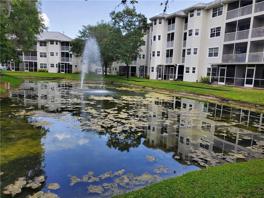 Looking out over the pond and fountain.