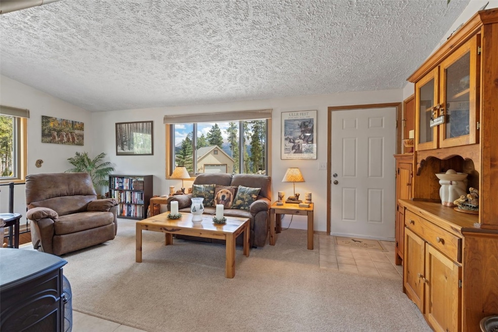 599 American Way, Breckenridge, CO 80424 - photo 1