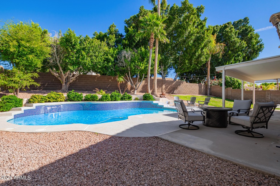 Backyard Oasis