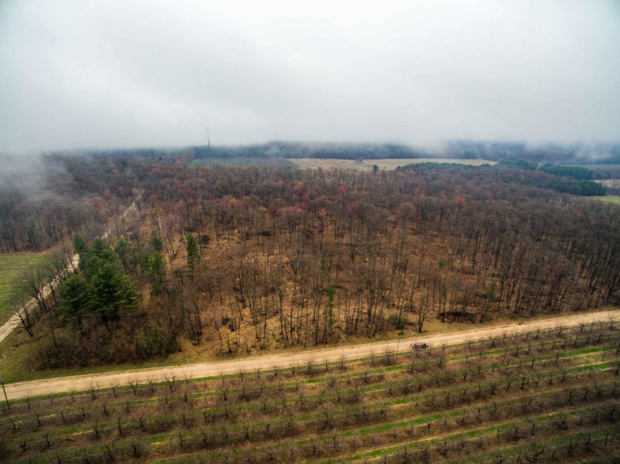 DJI_0040-1