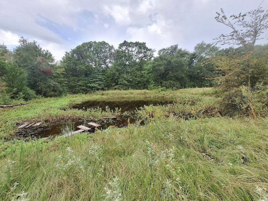 291 Rs County Road 4455, Point, TX 75472 - photo 1