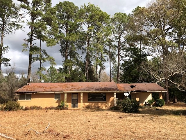 Main View