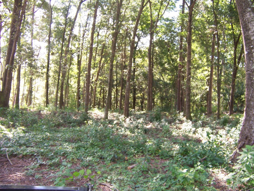 lot 6 Gooseneck Road 001